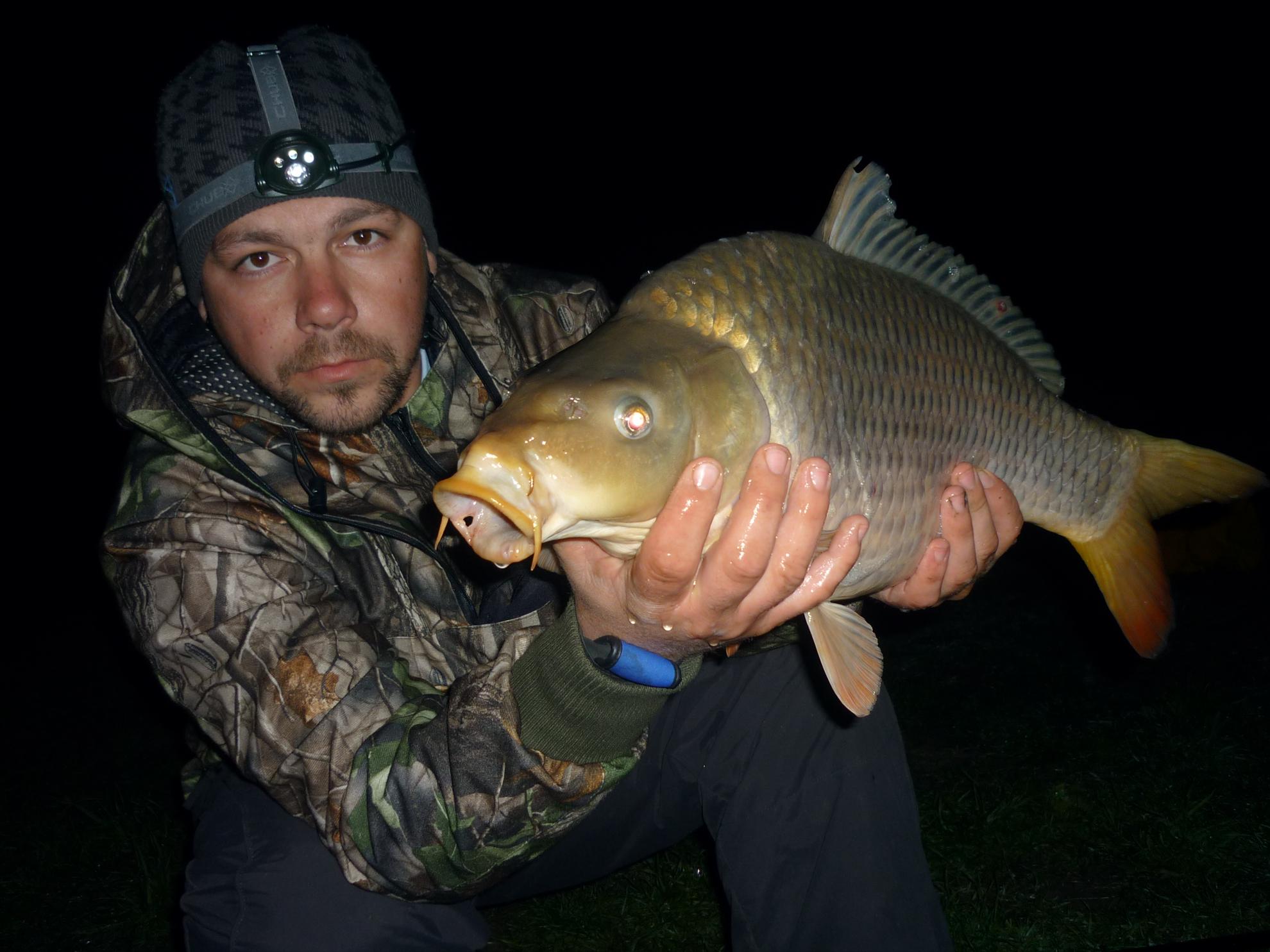 Stejeris 2011 - p1010965.JPG